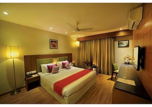 Plaza International Near Delhi Airport 4* Nova Deli