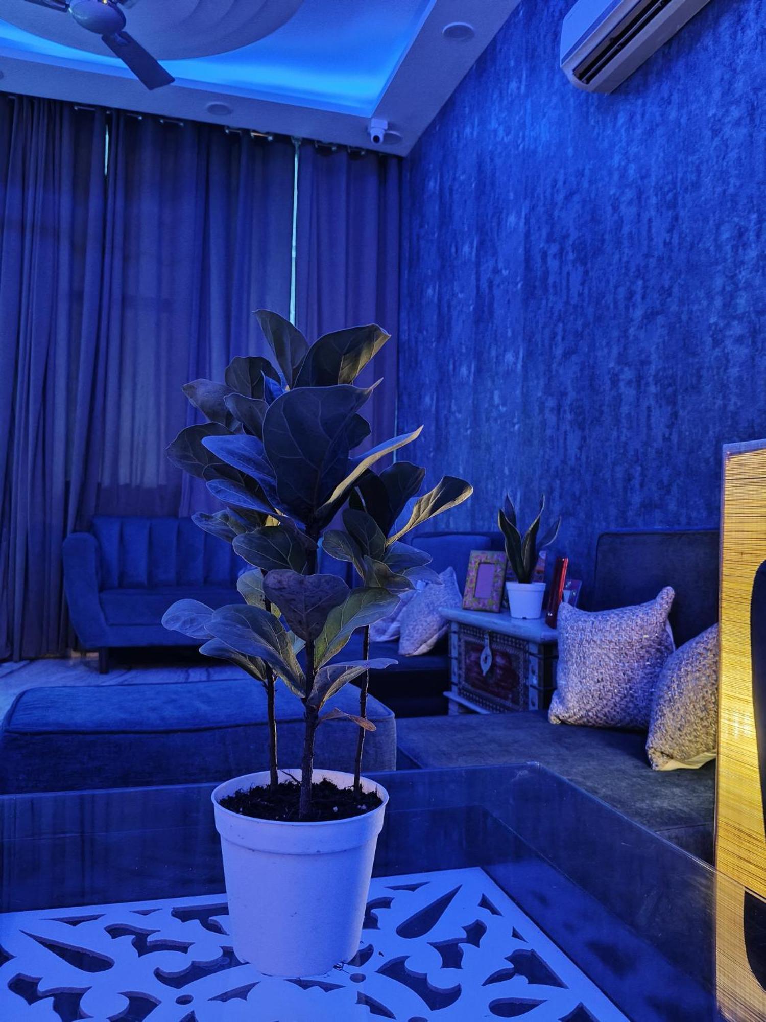 Kutir-greater Kailash-1 South Delhi * Nova Deli