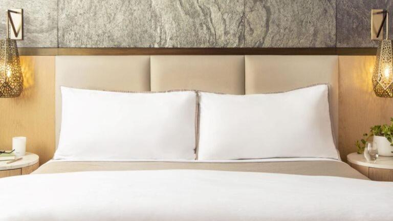 Hotel Royal Encasa Delhi Airport *
