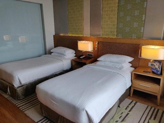 The Infinity Near Delhi Airport Hotel