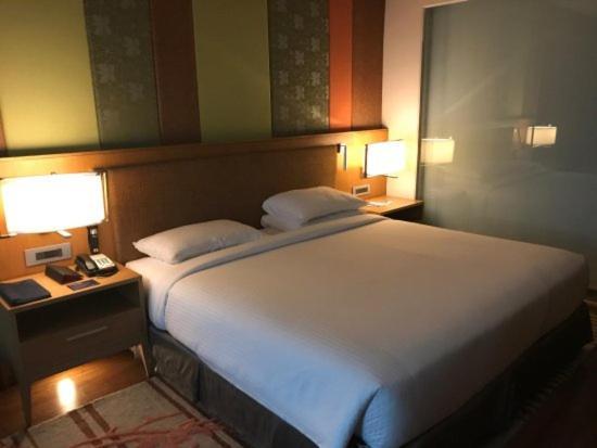 Hotel The Infinity Near Delhi Airport 4*