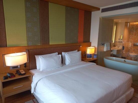 Hotel The Infinity Near Delhi Airport 4*