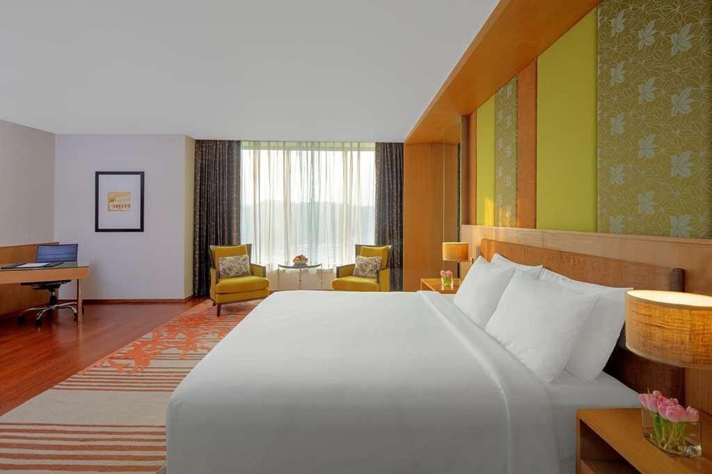 Hotel The Infinity Near Delhi Airport Nova Deli