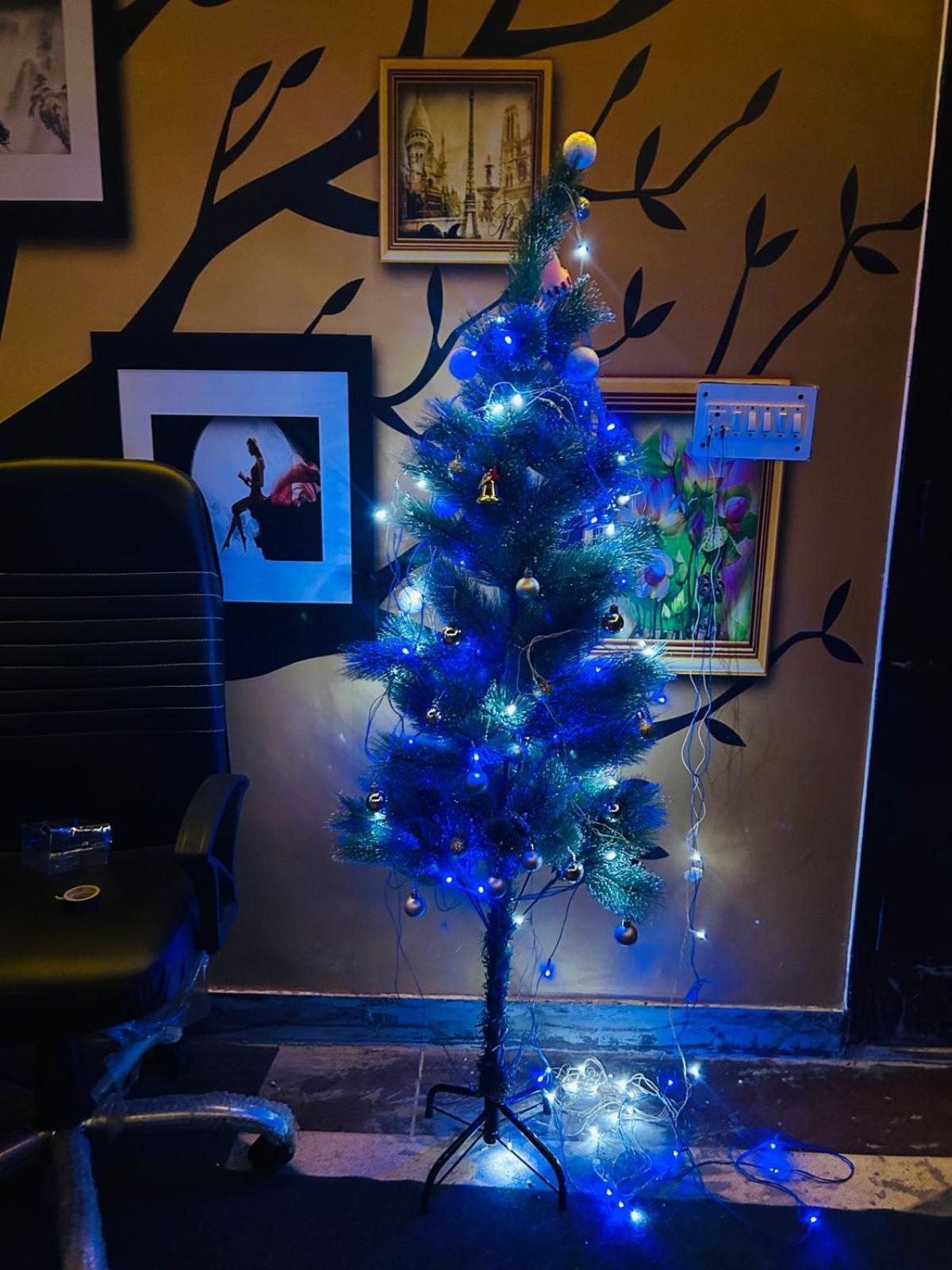 Dim Delights Apartment *