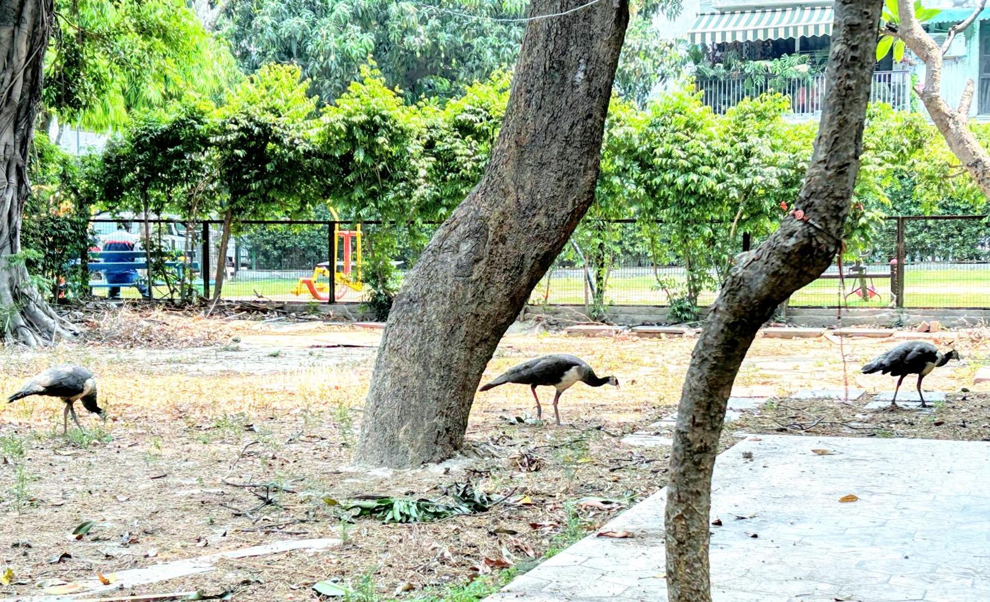 Homestay Pearl Of Nature By Nyra