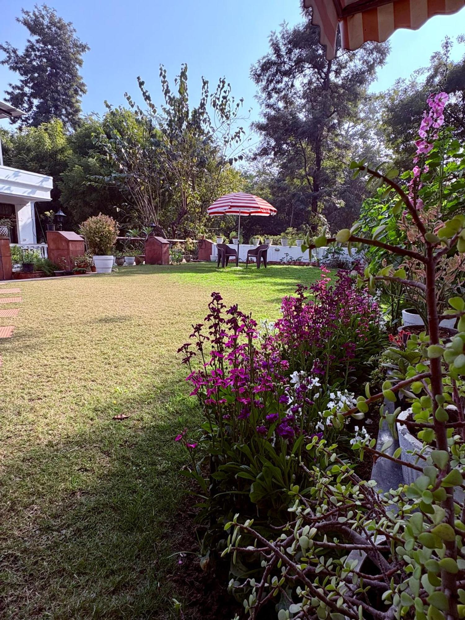 The Stay Inn New Delhi Acomodação com café da manhã  Nova Deli