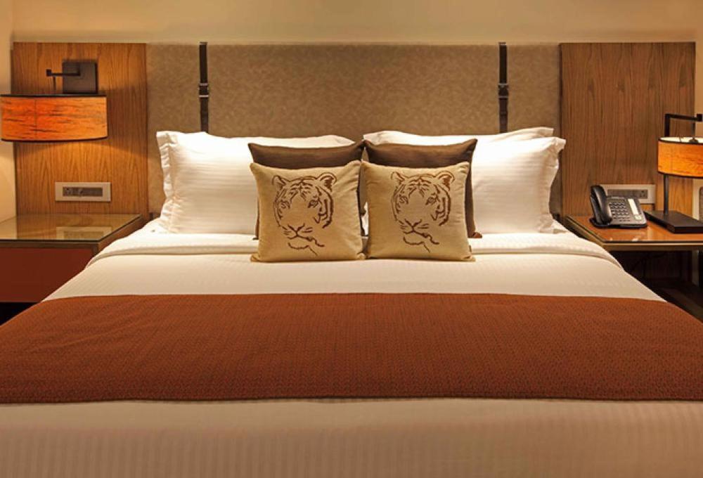 Hotel Plaza Near Igi