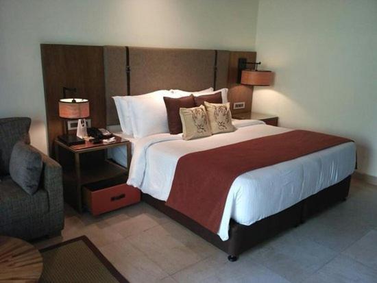 Hotel Plaza Near Igi 4*