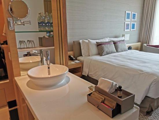 Teo International Near Delhi Airport Hotel 4*