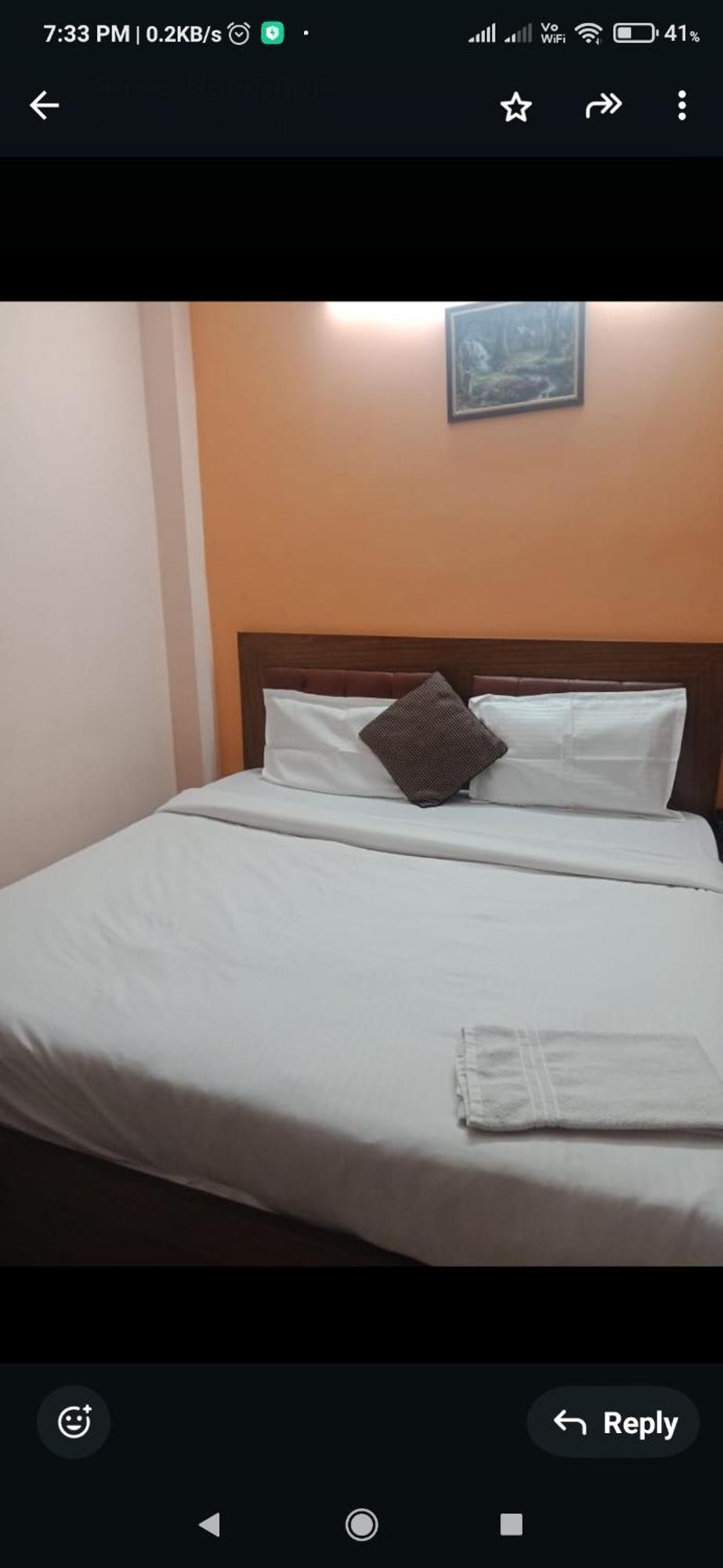 Hotel Surya O 3*