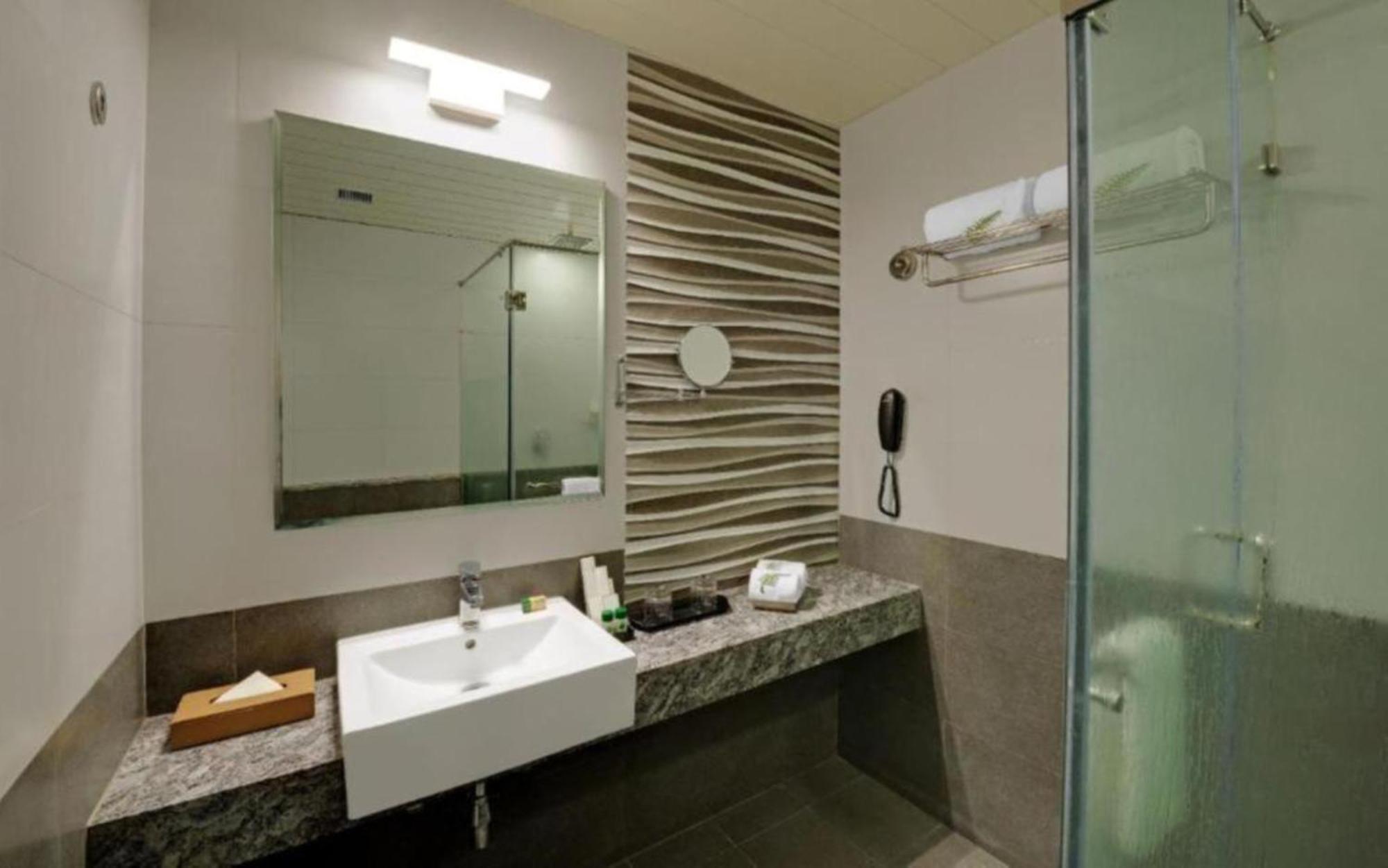 Luxury Near Delhi Airport Nova Deli