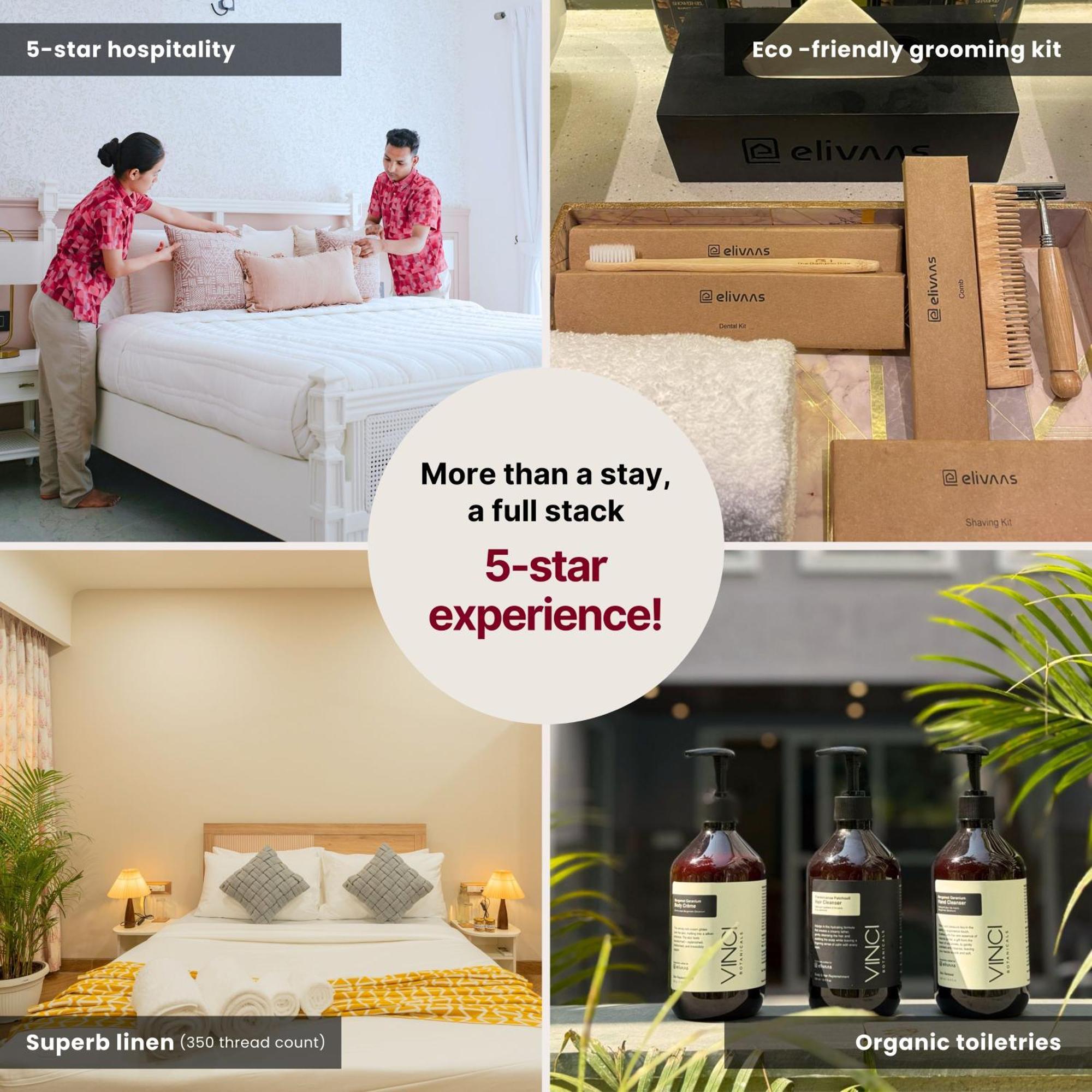 Alaya 3 Bhk Pet Friendly With Pvt Pool - Daffodil