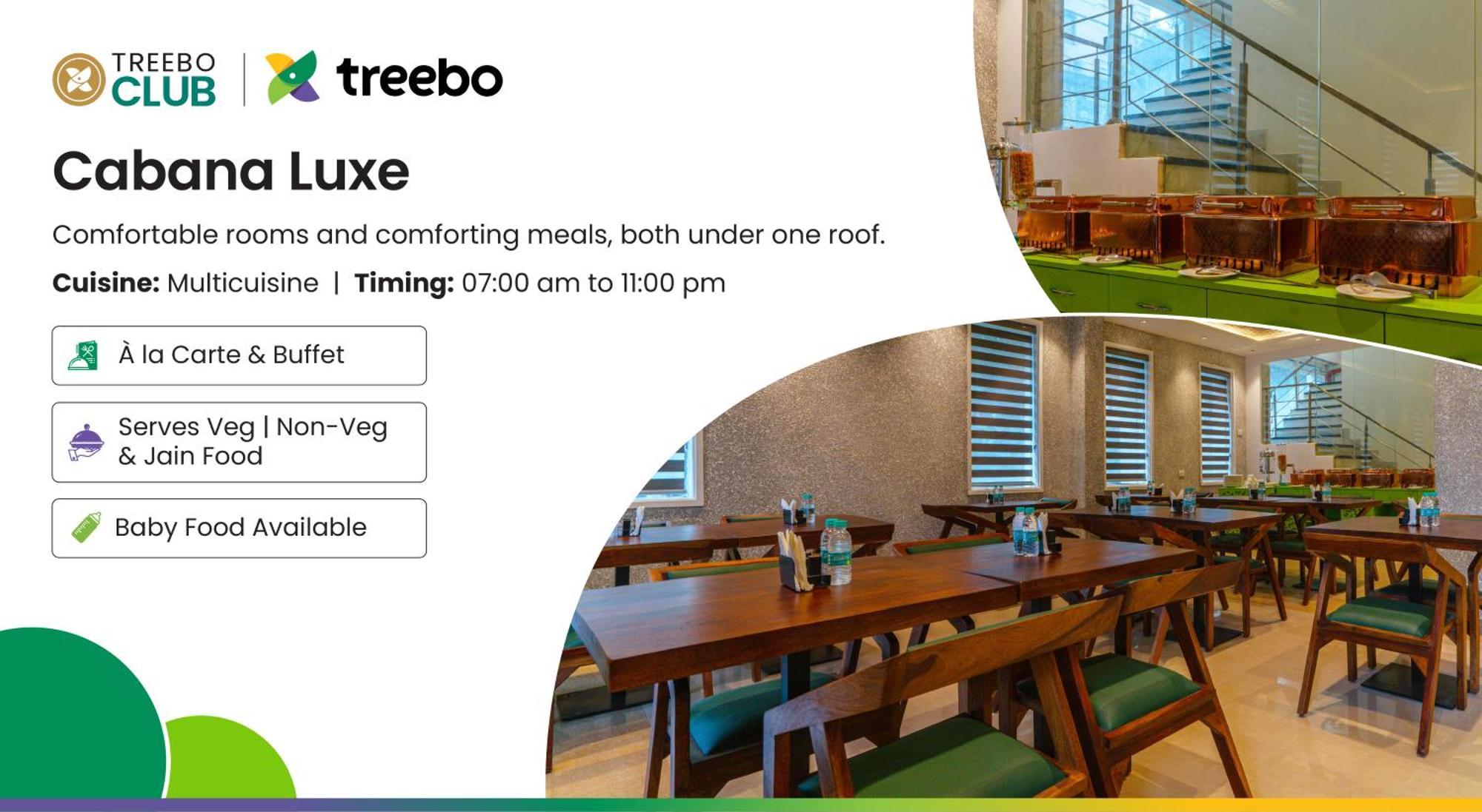 Treebo Ace Luxe