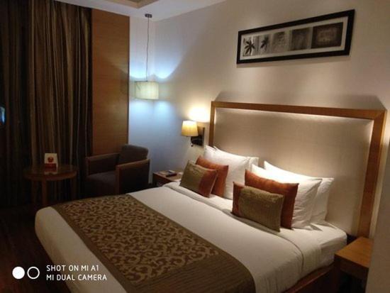 Ebony Near Delhi Airport By Gross Group Hotel New Delhi