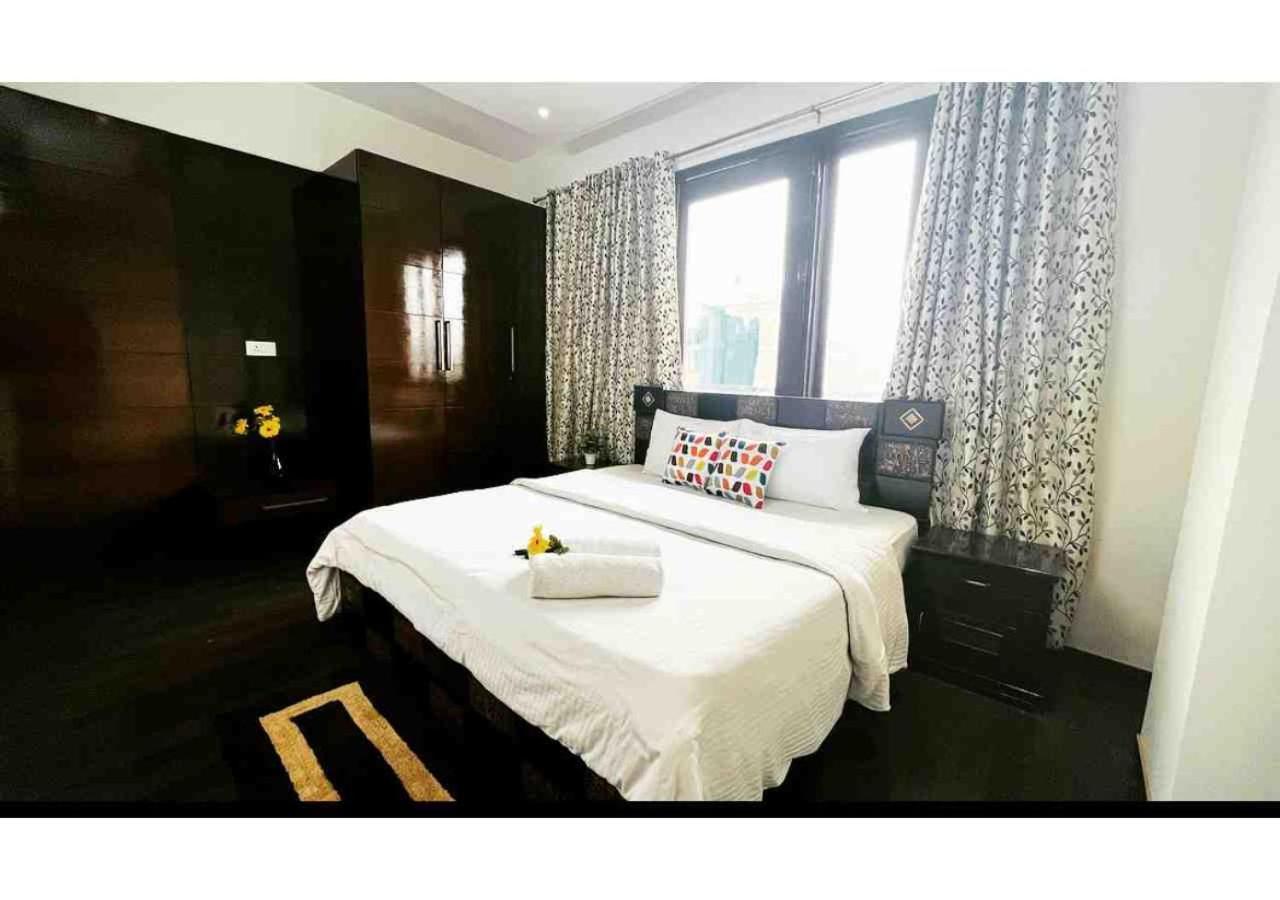 Olive Service - Defence Colony