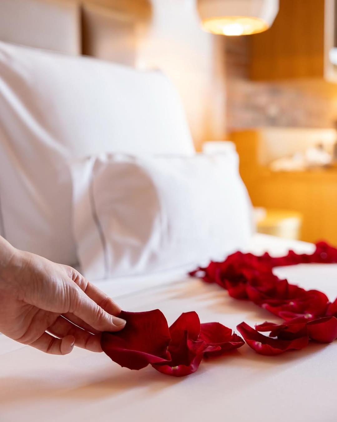Hotel El De Empire Suite Near Delhi Airport