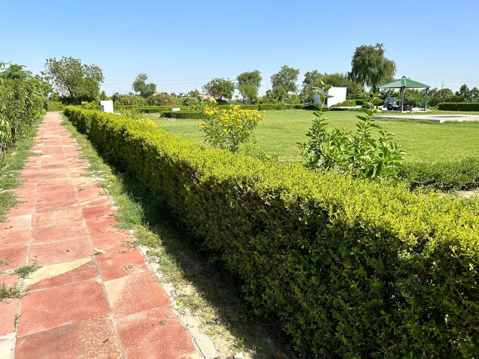 Laxmi Nursery Jaunti Farm stay *