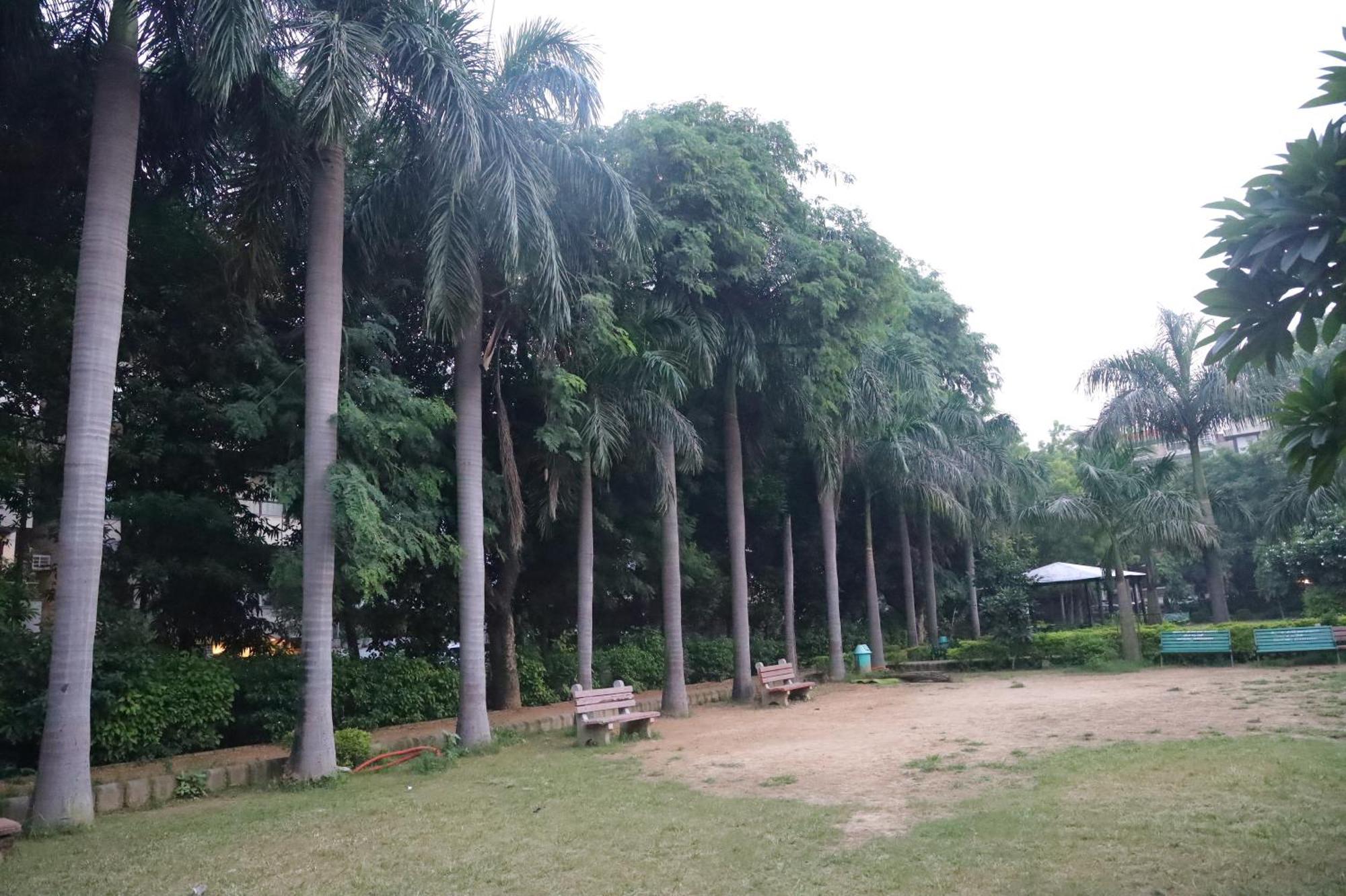 Divine India Service 3bhk,j-267 * New Delhi