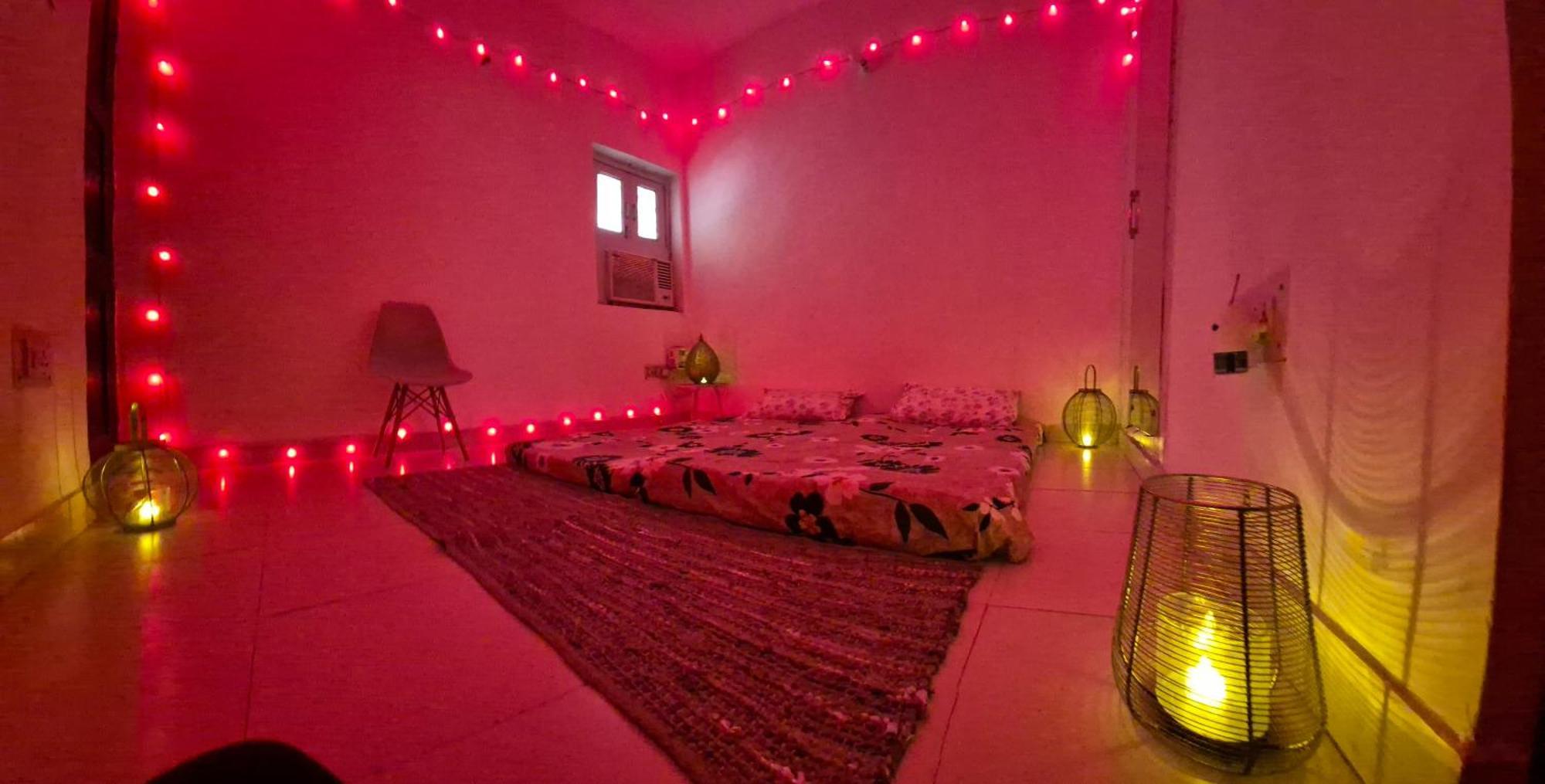 The Comfort Cove *