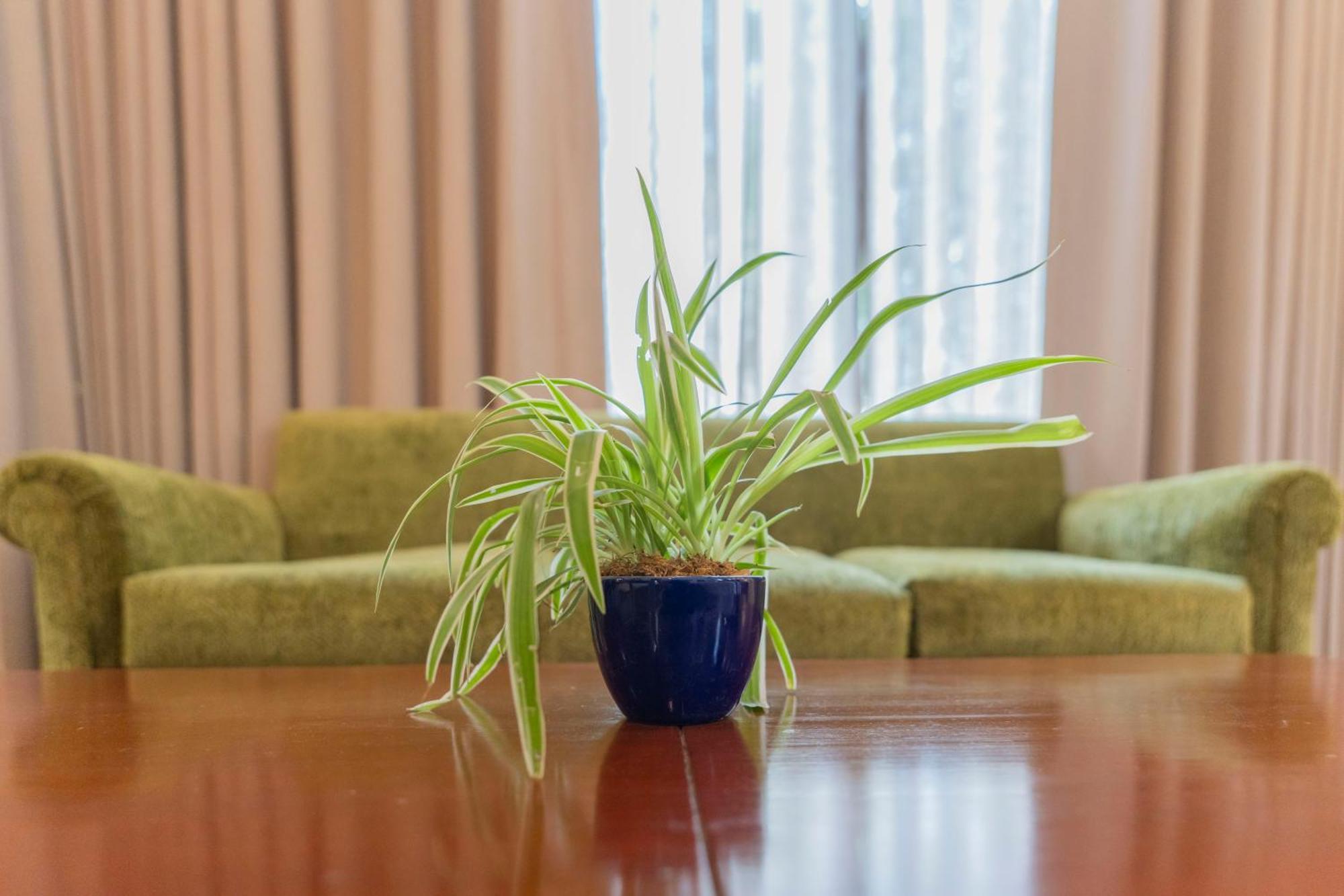 Hotel Ahuja Residency Sage