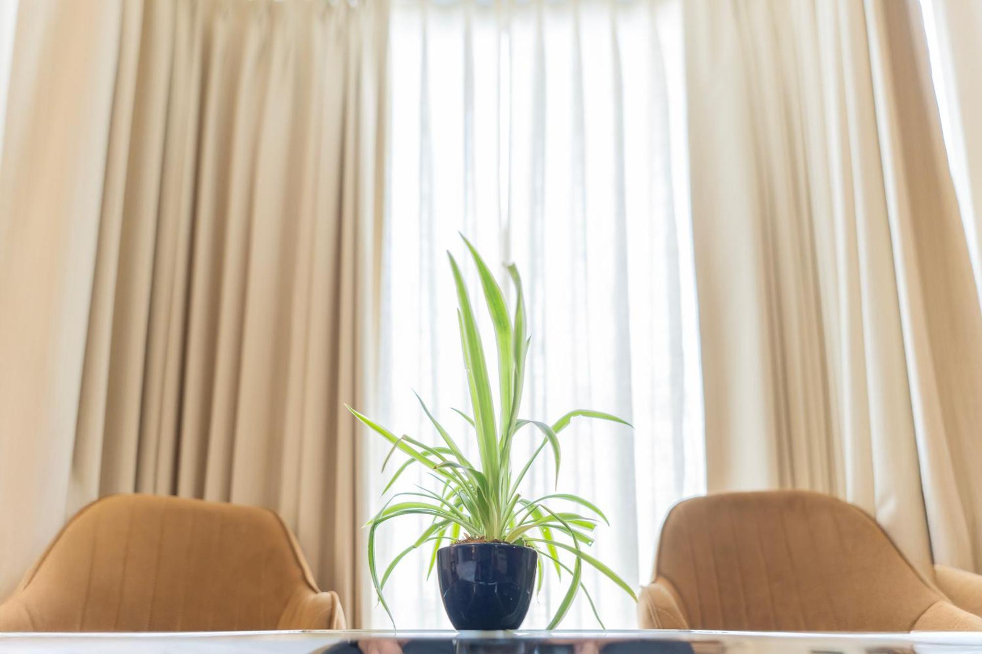 Hotel Ahuja Residency Sage New Delhi