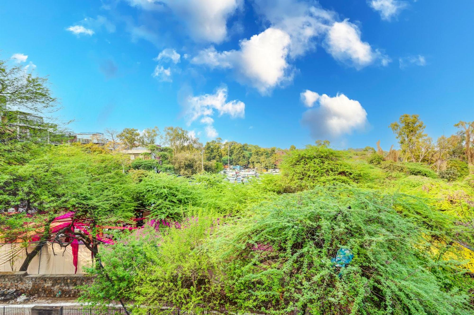 Great Near Hauz Khas Deer Park *