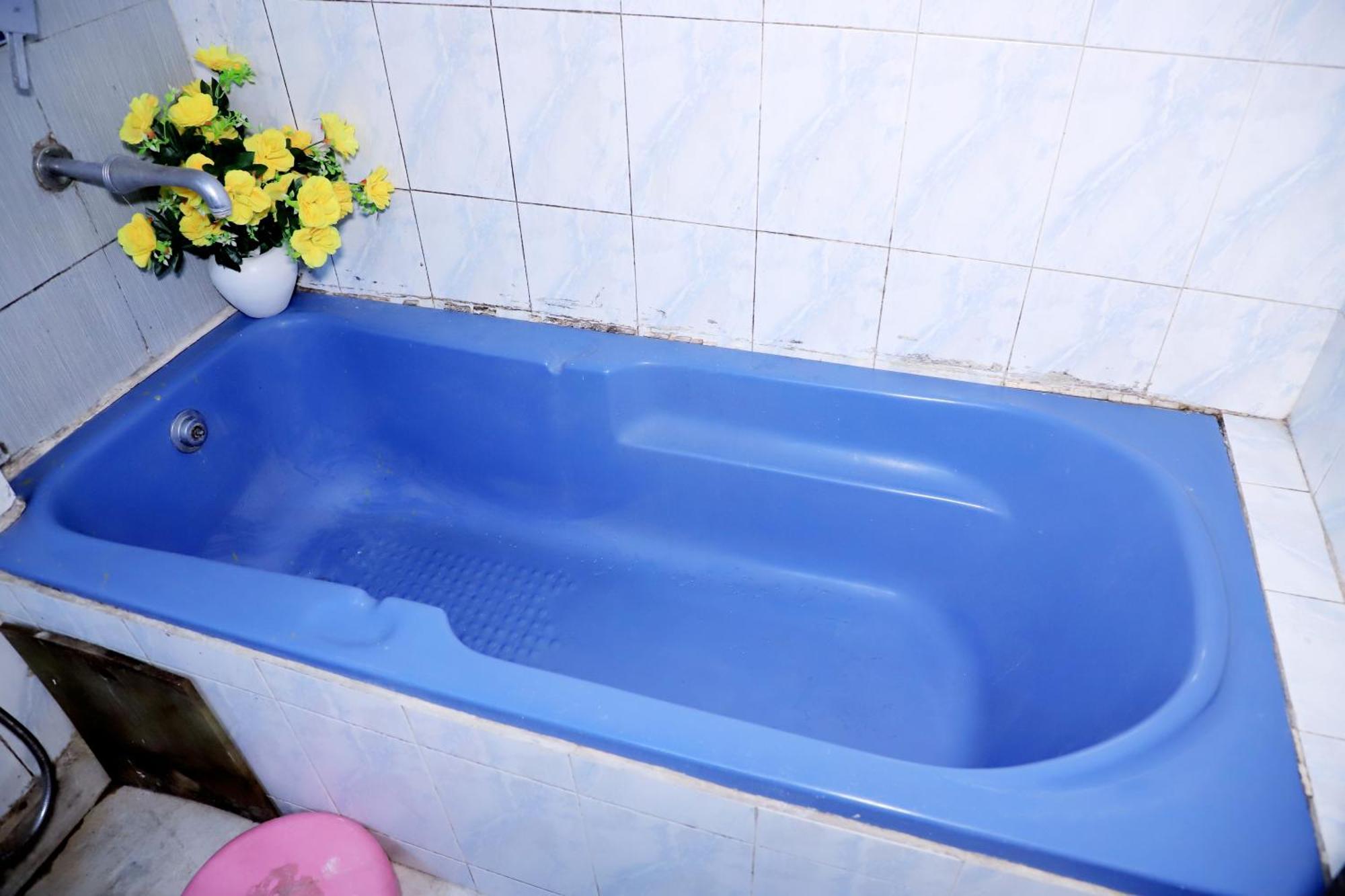 Divine India Service Apartment,2bhk, D-198,saket *