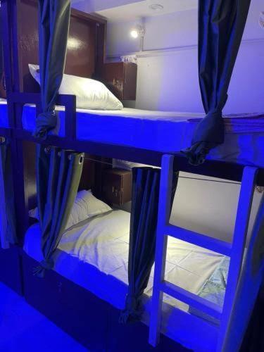 New Frezon Hostel New Delhi