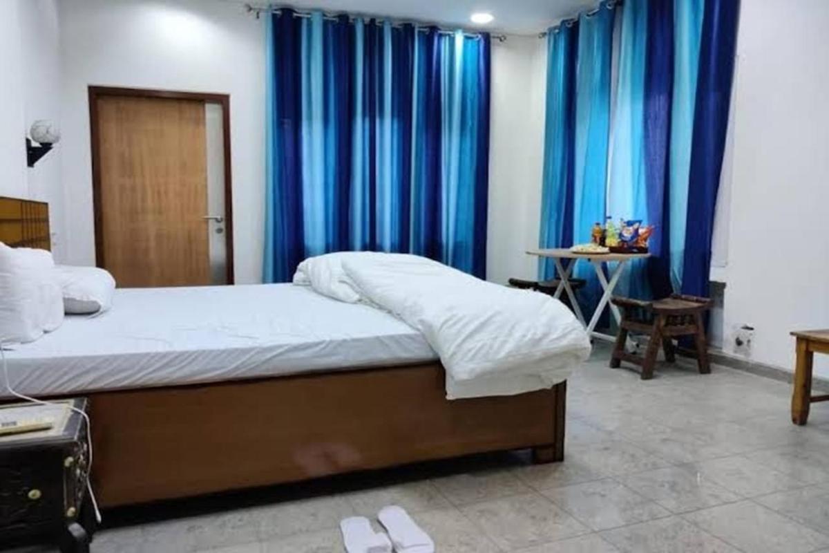 Whiite Panda - Backpacker In Delhi Greater Kailash New Delhi