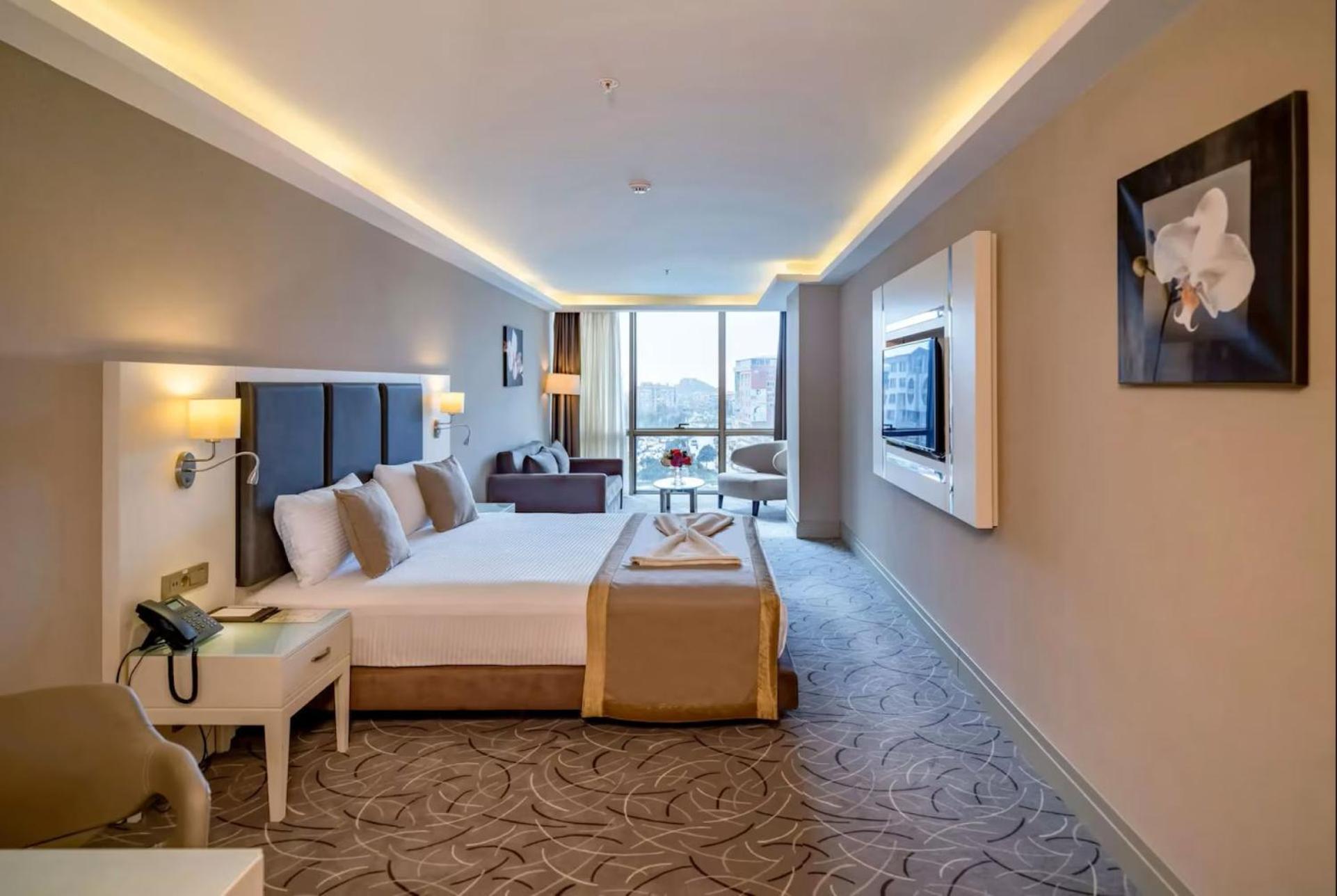 Hotel Mdf Tela Near Igi Airport Delhi 4*