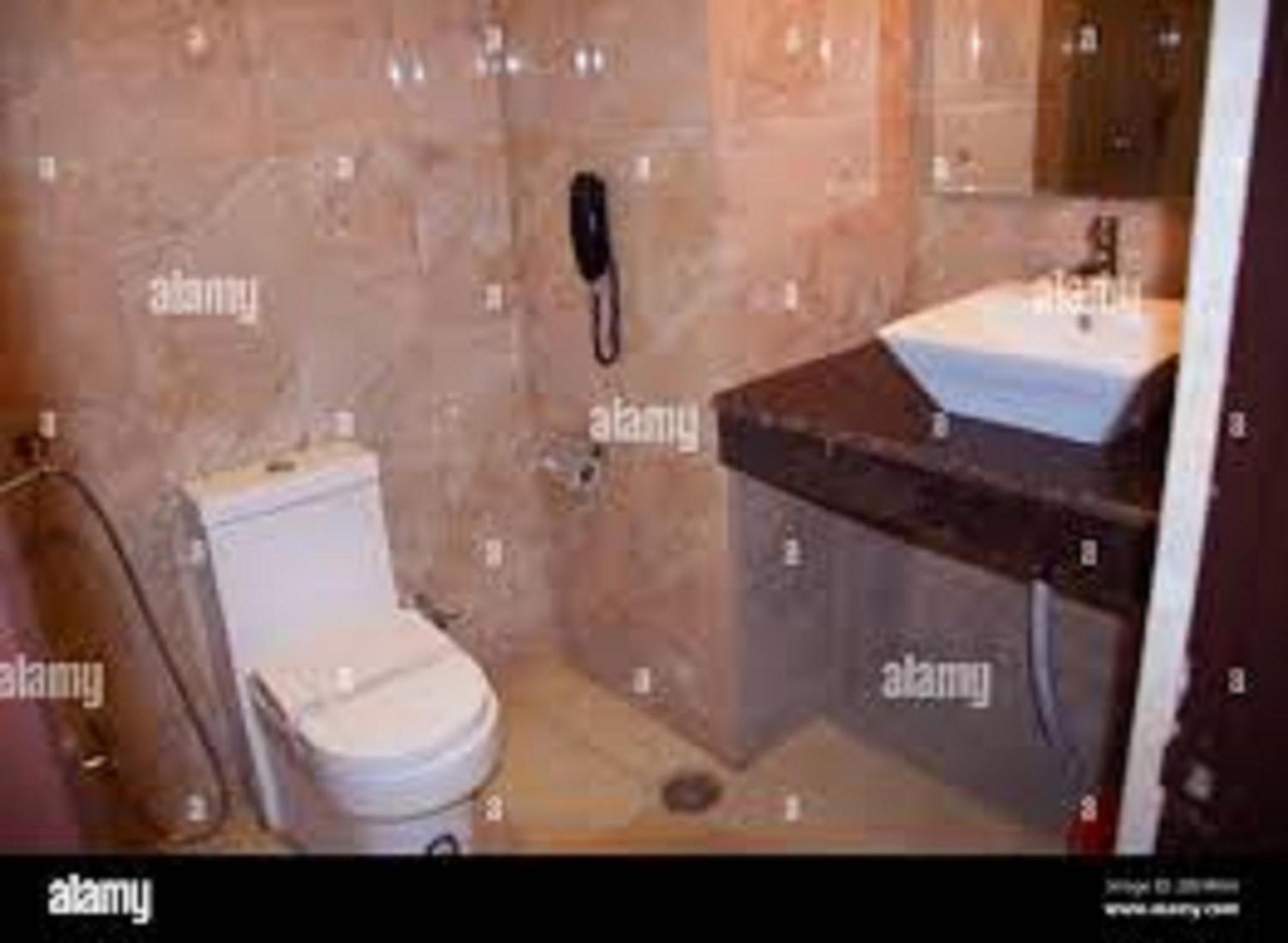 Jet Fox By Aero View Hotel, Delhi Airport 3*