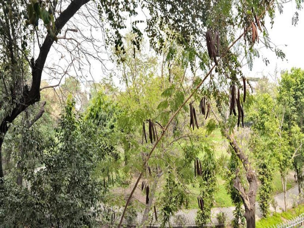 Haveli Hauz Khas Acomodação com café da manhã  3*