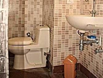 2bhk Comfortable Furnished Serviced In Hauz Khas - Woodpecker Inn New Delhi