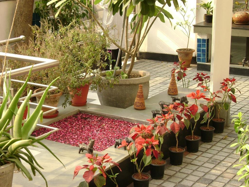 B Nineteen Bed & Breakfast 3*