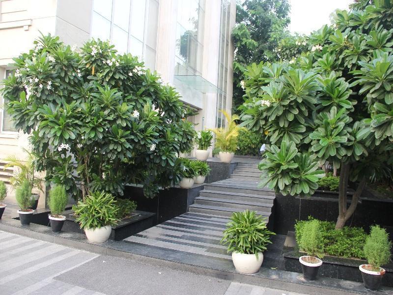 Muse Sarovar Portico Nehru Place Hotel 4*