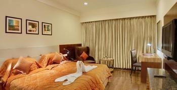 The Golden Palms & Spa, Delhi 4*