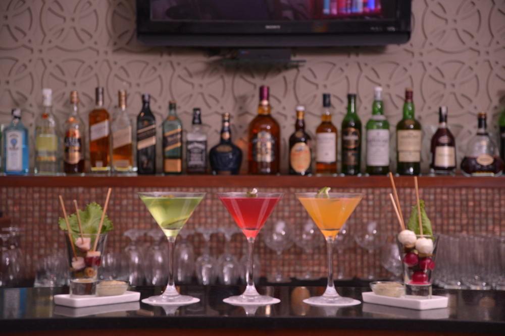 The Uppal - An Ecotel 5* New Delhi