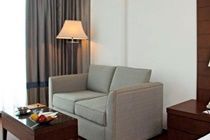 S.k Premium Park Hotel Nova Deli