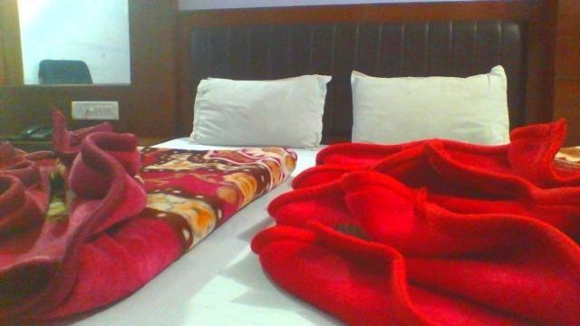 Hotel Sahara International Deluxe 2*