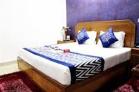 Oyo Premium Hari Nagar