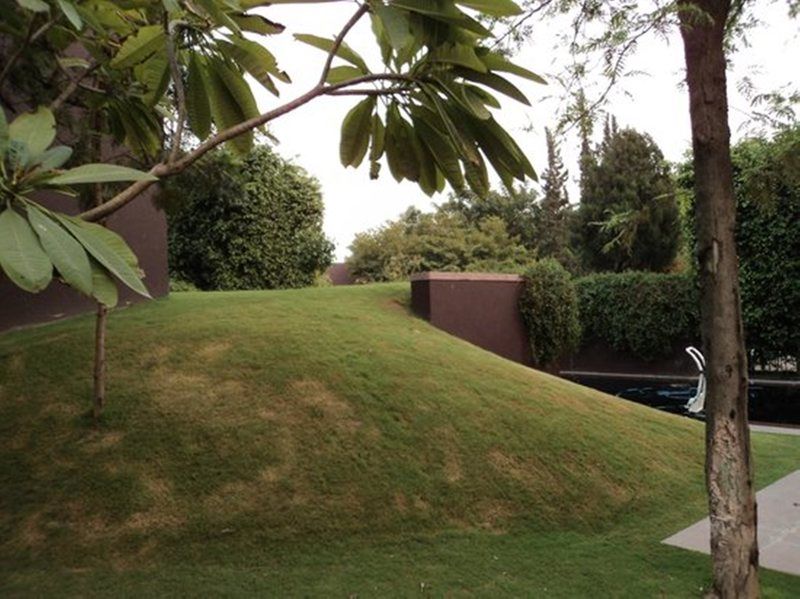 Hotel Roseate House New Delhi