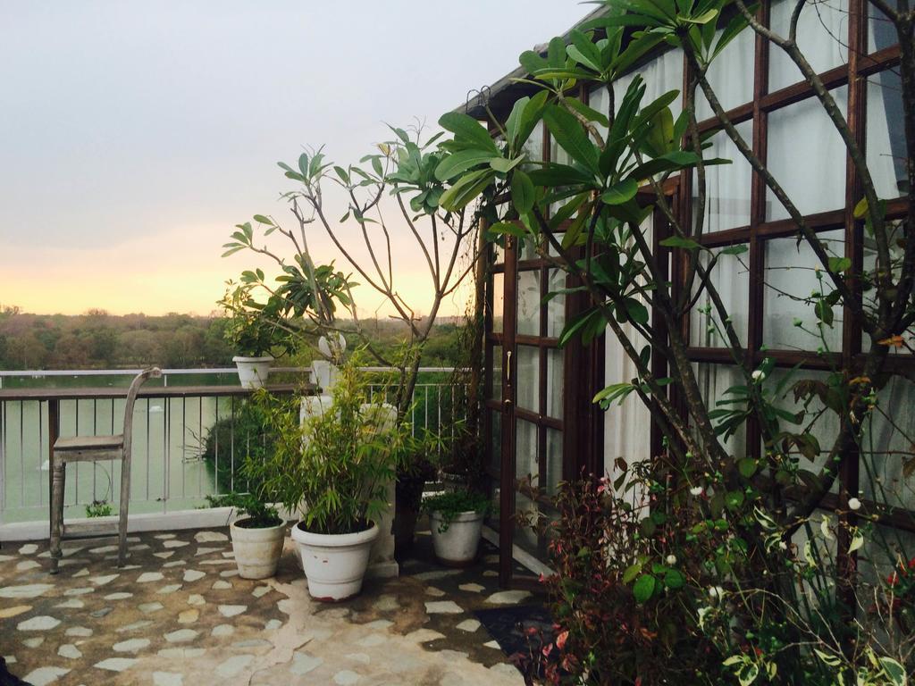 The Lazy Patio Homestay Nova Deli