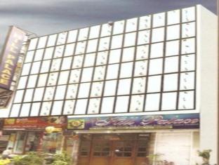 Hill Palace -near Karol Bagh Metro Station 3* Delhi (National Capital Territory of India)