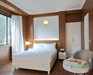 Hotel Treebo Check In By Oran New Delhi