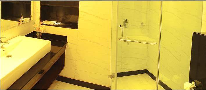 Hotel Oyo Townhouse 537 Regent Intercontinental 3*