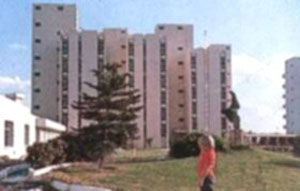 Clarion Collection 4*