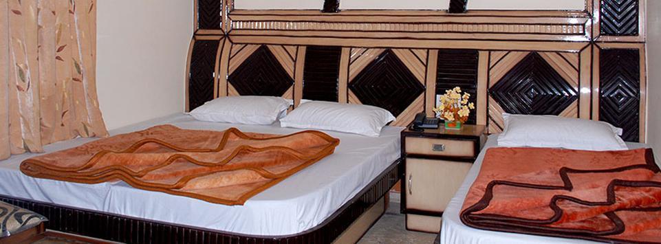 Western King Hotel Delhi (National Capital Territory of India)