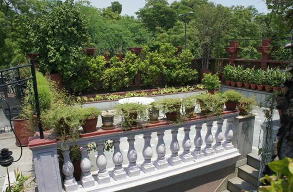 Sirohi House Bed & Breakfast *
