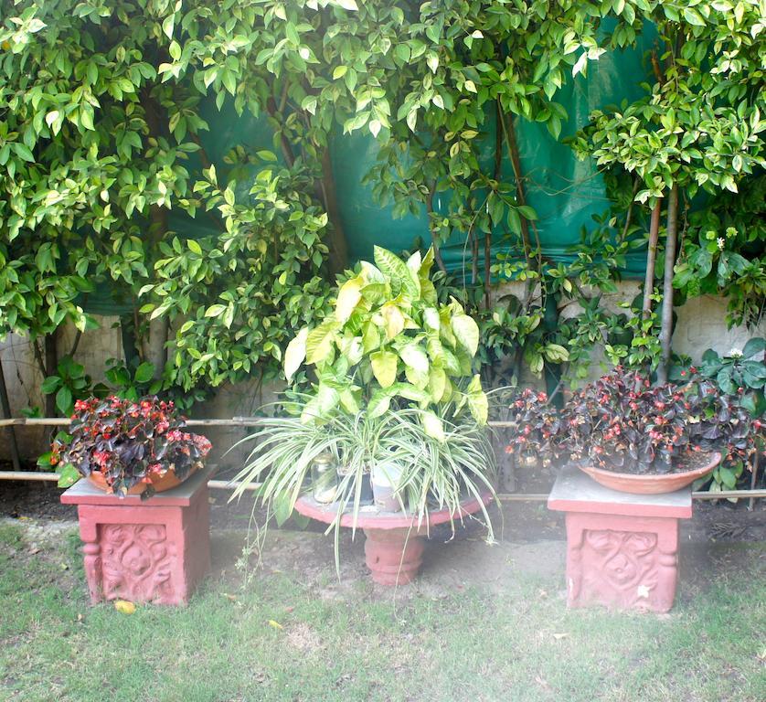 Bed & Breakfast Sirohi House New Delhi