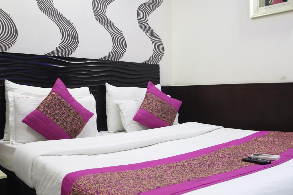 Hill Palace -near Karol Bagh Metro Station Hotel